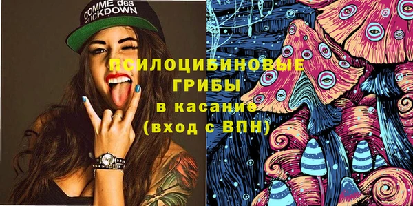 дмт Алексеевка