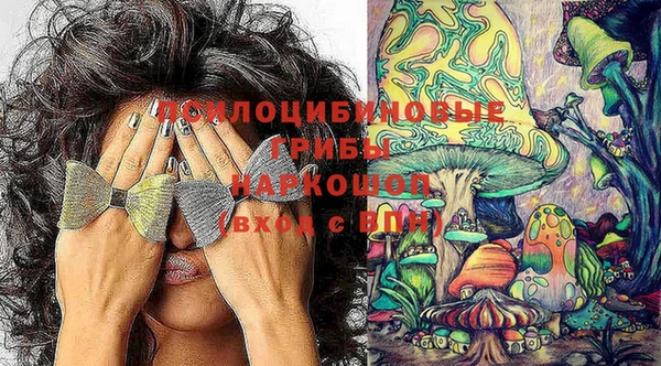 спиды Алзамай