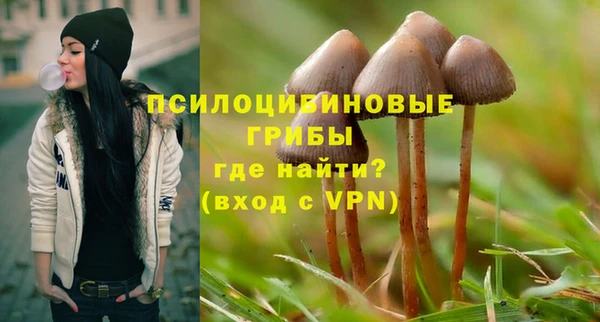 спиды Алзамай