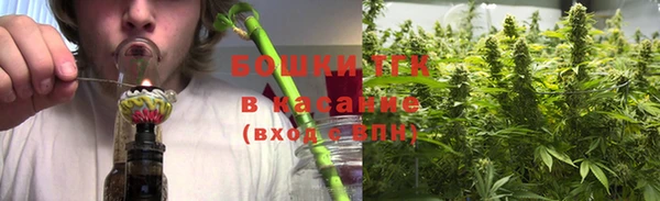 дмт Алексеевка