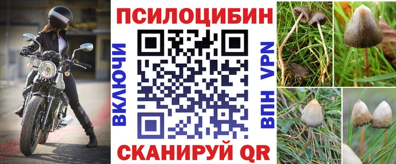 Псилоцибиновые грибы Magic Shrooms  где продают наркотики  Комсомольск 
